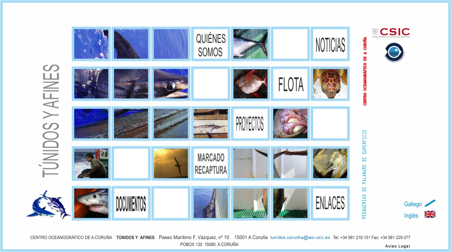 Equipo de Túnidos y afines del Centro Oceanográfico de A Coruña.